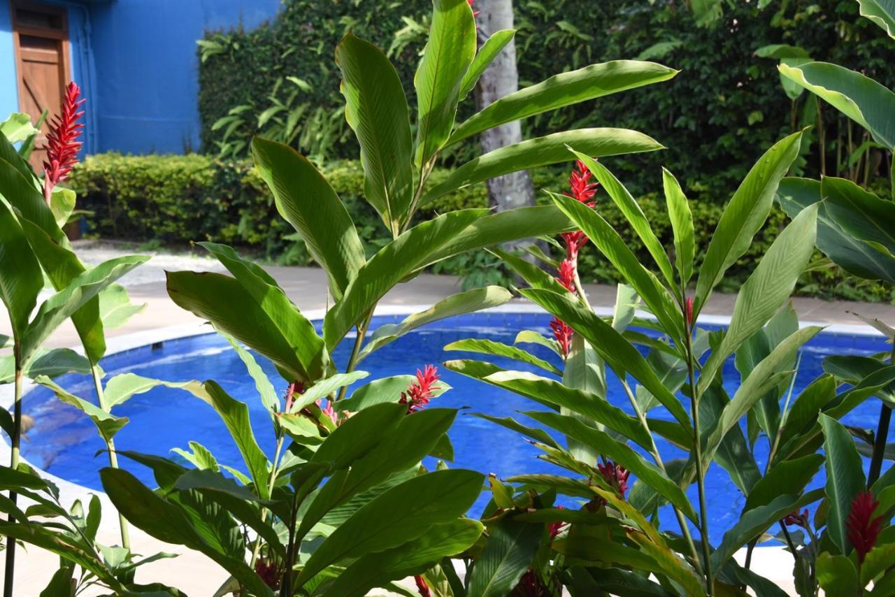 Pousada Verano Sao Sebastiao  Exterior foto